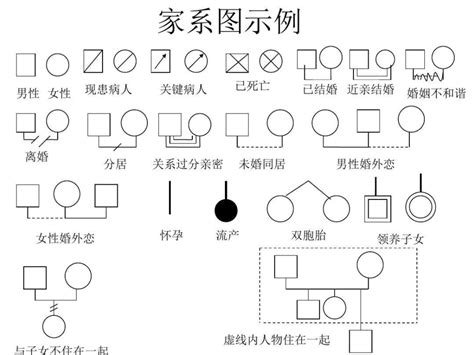 家人關係圖|在線家系圖軟件工具